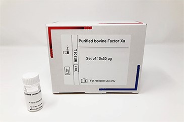 Purified Bovine Factor Xa (10 x 30 µg)