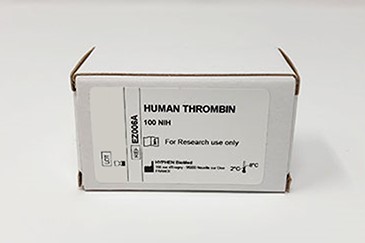 Human Thrombin (1 x 100 NIH)