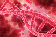 Coagulation Corner